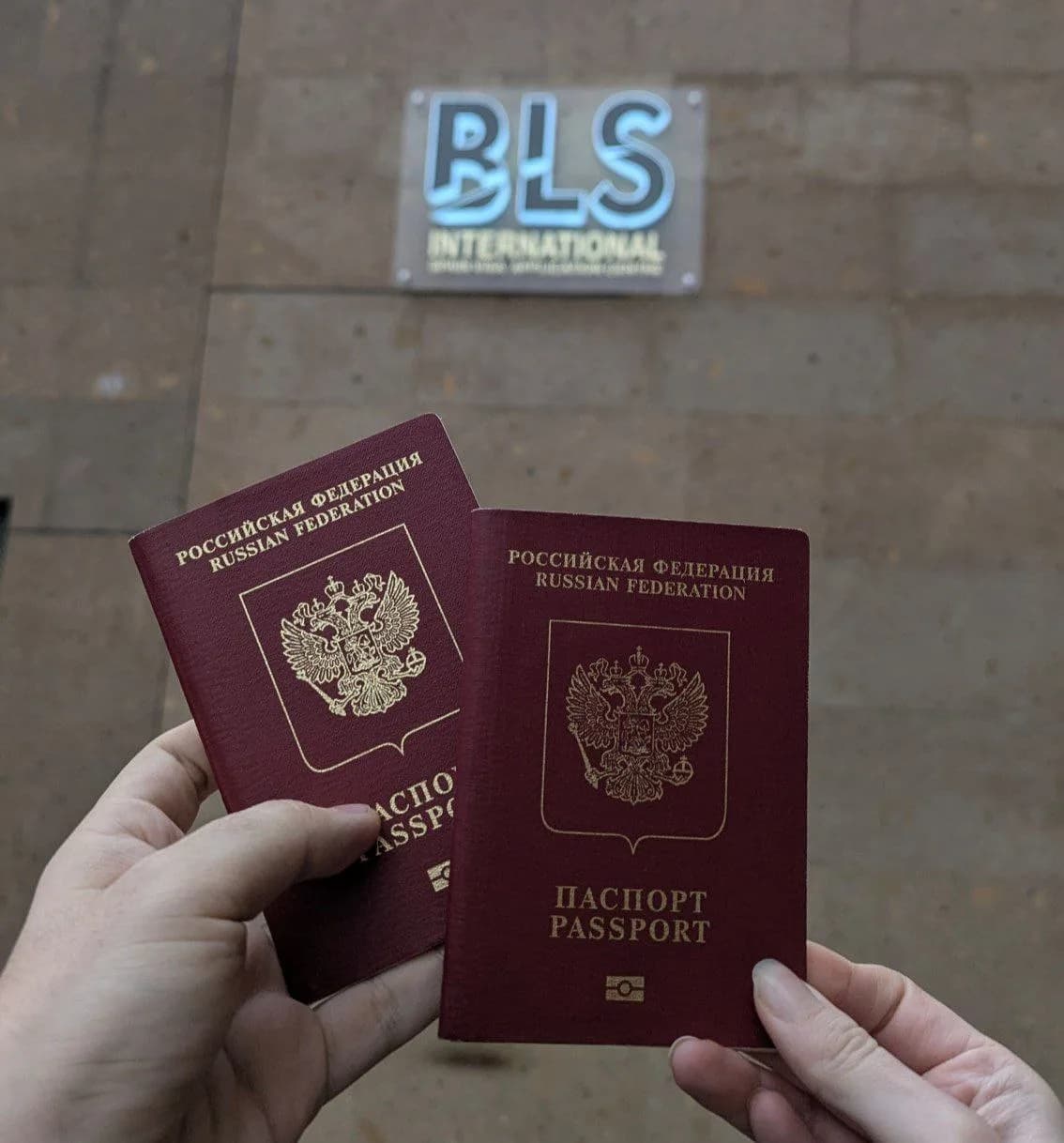 Два российских загранпаспорта в руках на фоне вывески BLS International
